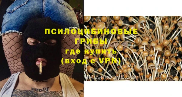 ПСИЛОЦИБИНОВЫЕ ГРИБЫ Богородск