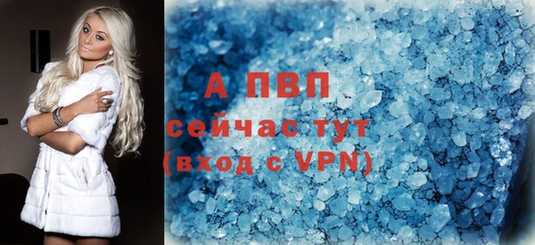 ПСИЛОЦИБИНОВЫЕ ГРИБЫ Богородск