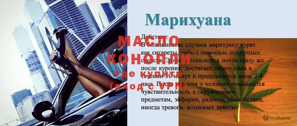 дживик Богородицк