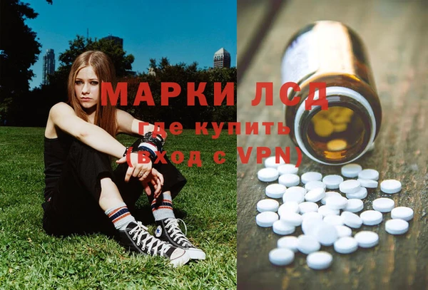 ПСИЛОЦИБИНОВЫЕ ГРИБЫ Богородск