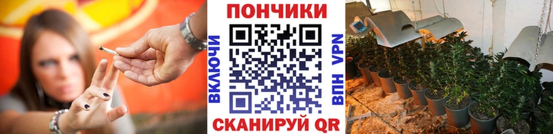 где купить наркоту  Северск  Шишки марихуана марихуана 